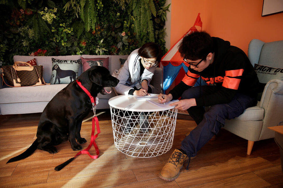 Клиент попълва формуляр пред погледа на домашния си любимец Абу.