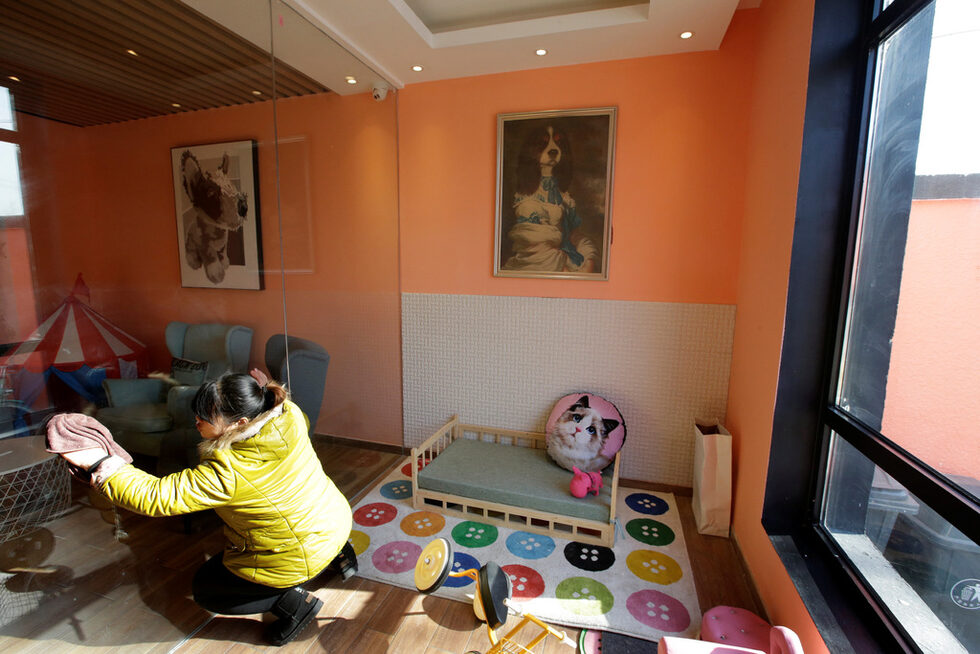 Жена от персонала почиства стая за домашни любимци в курорта.