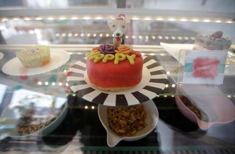 Торти и храна в ресторант за домашни любимци в курорта в Пекин.