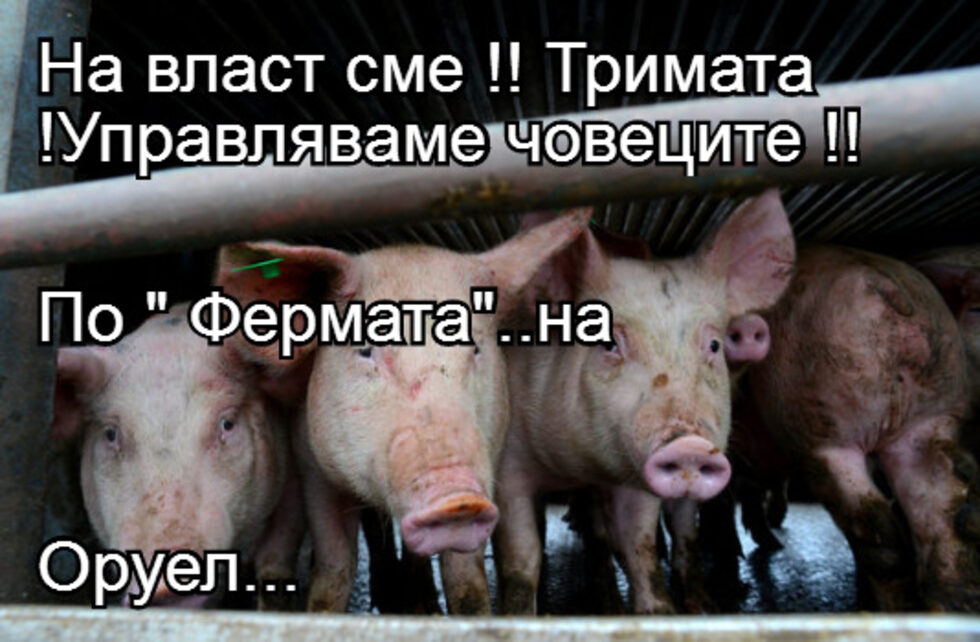 Фотогалерия: На първо място поставям държавата СИК и още препоръчвани комикси