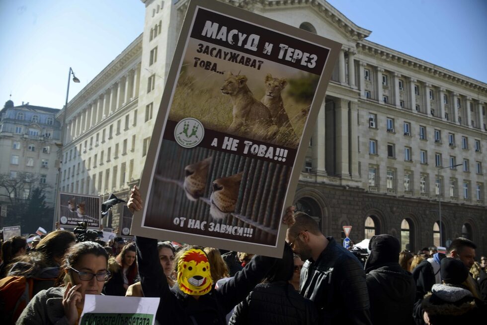 Фотогалерия: "Нено в зоопарка" и още от протеста в защита на Масуд и Терез