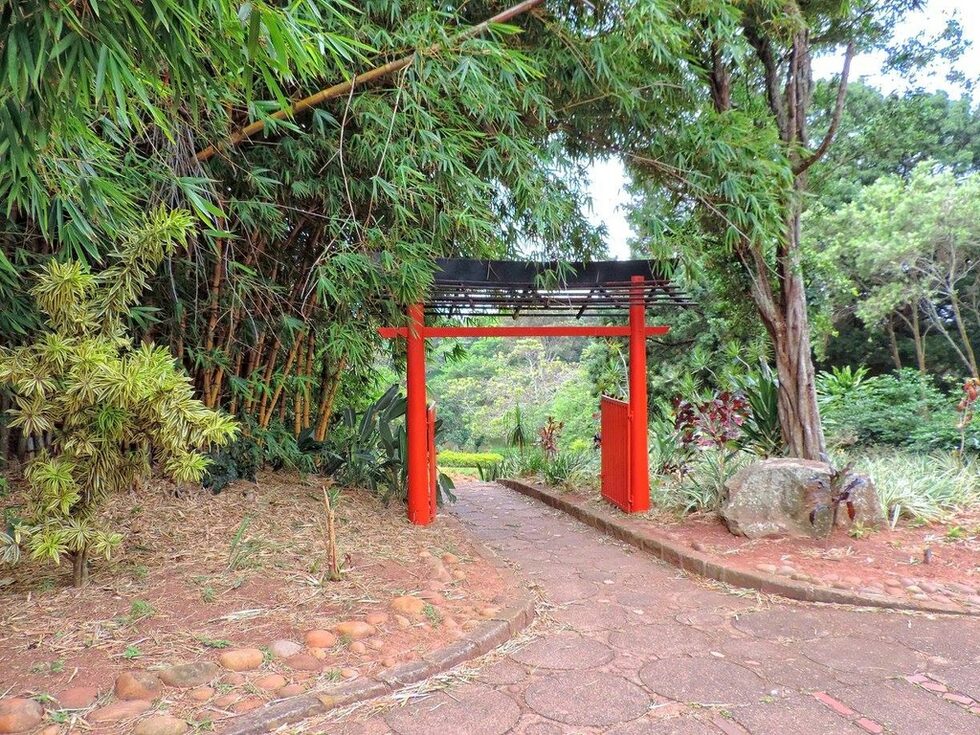 От повече от 50 години поточетата, арките, или torii (врата, която сигнализира прехода от скверното към свещеното, тъй като обикновено е разположена на входа на шинтоистките храмове, а дори и пред някои будистки храмове), беседките, бамбукът, сламените покриви и мостчетата в Японската градина носят привкуса на Източната мистика за жителите на Дърбан и неговите околности.