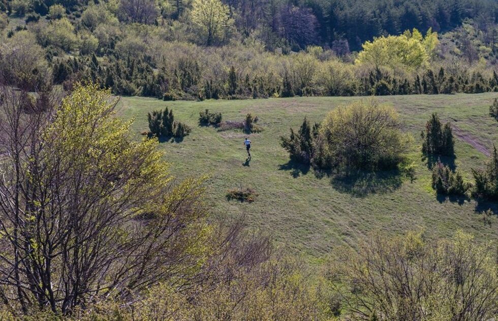 Фотогалерия: Бягане на воля с планинския маратон "Панчарево"