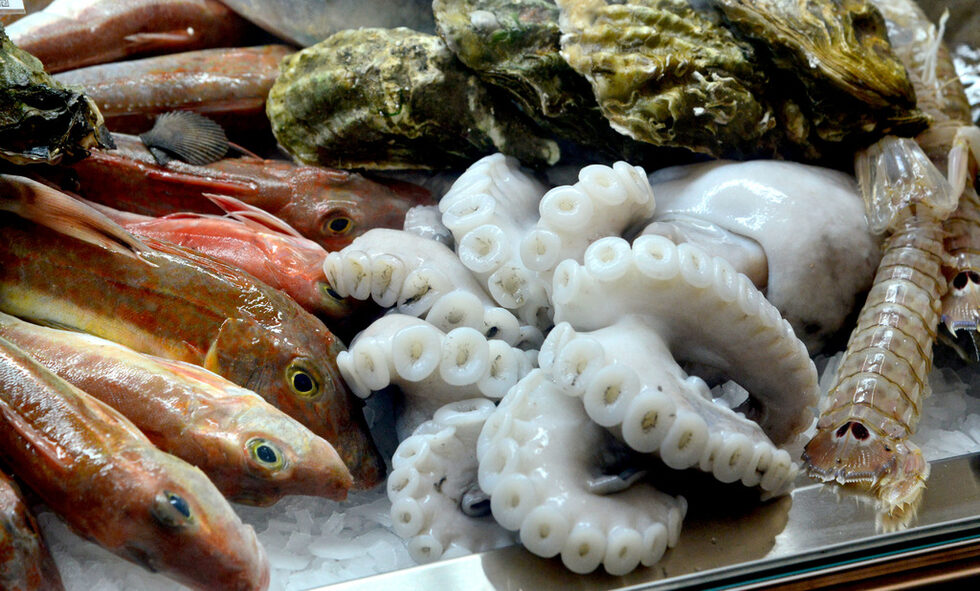 Първият рибен фестивал Бакхус Fish Fest в София посветен на рибата, рибните деликатеси, разнообразни ястия приготвени с риба днес може да бъде посетен в градина на Grand Hotel Sofia.