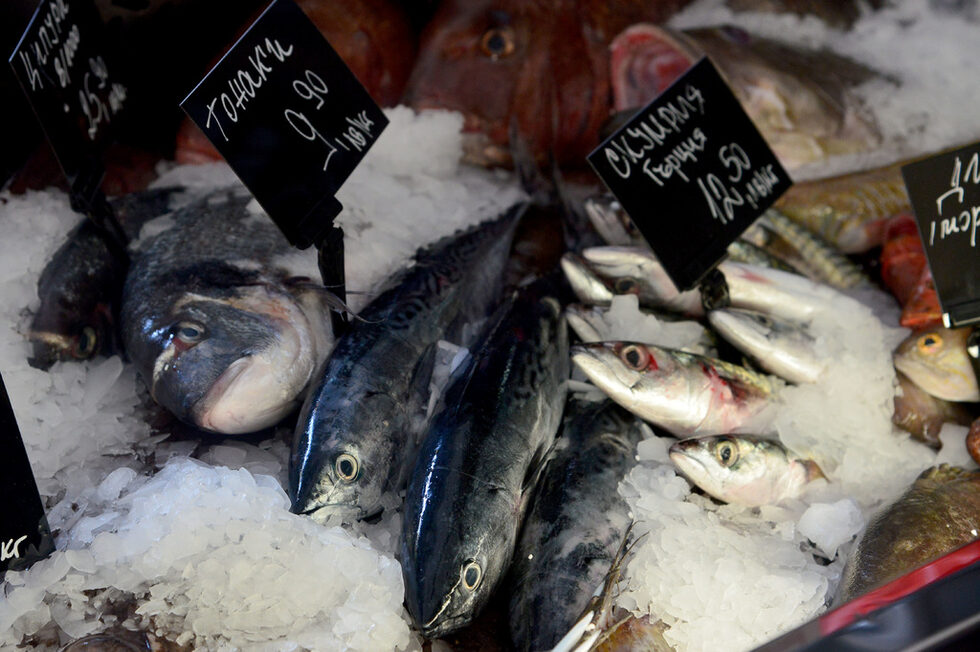 Фотогалерия: Бакхус Fish Fest за първи път в София