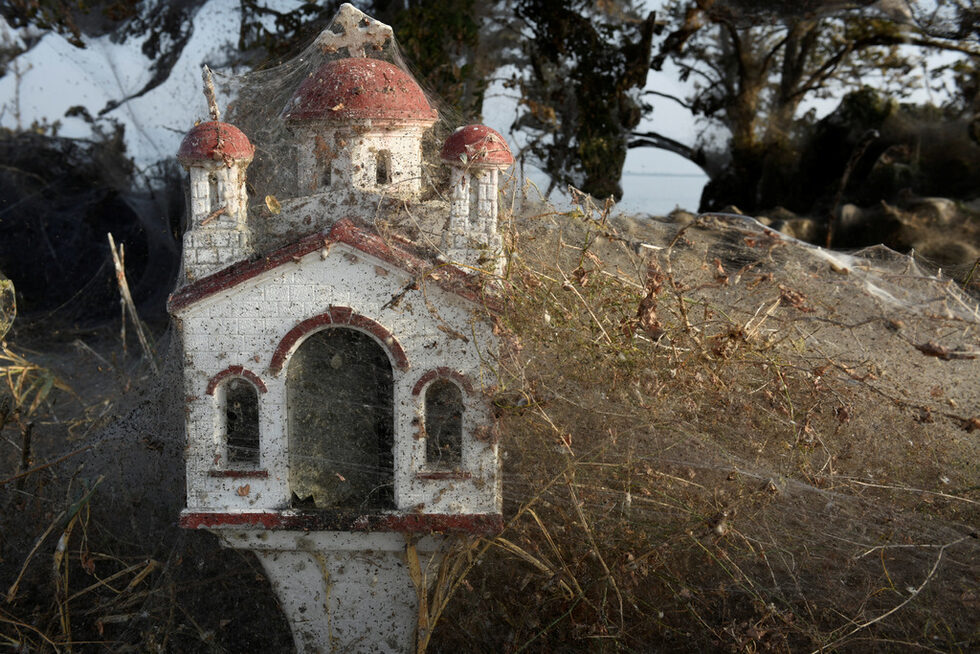 Фотогалерия: Километър паяжина