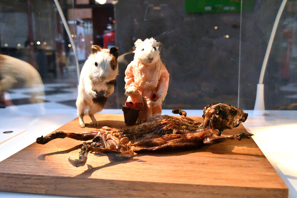 В Малмьо, Швеция беше открит нов музей Disgusting Food Museum (Музеят на отвратителните храни), той е създаден от Самуел Вест, клиничен психолог.<br /><br />В музея ще бъдат изложени 80 експоната от целия свят, които ще покажат малка част от различните култури на хранене.<br /><br />Целта на екипа на музея не е само да покаже културното разнообразие на храната по света, но и да накара хората да се замислят докъде стигат възможностите за приемане на нови вкусове.<br /><br />Морското свинче е деликатес в Перу.