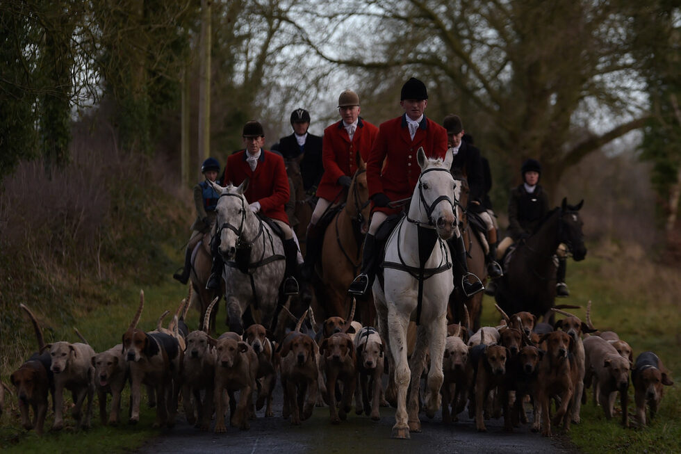 Ловци и хрътки от клуба Meath Hunt участваха в традиционния коледен лов на лисици в Келс, Ирландия.