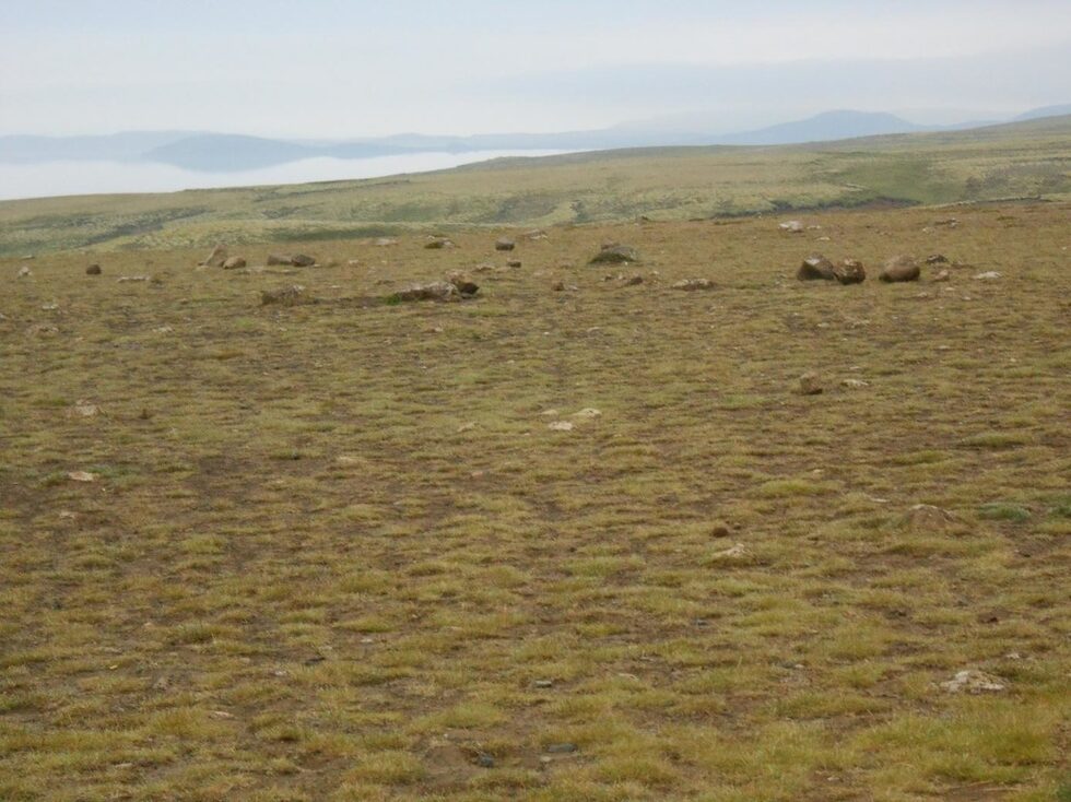 Тръгваме към националния парк "Тинкветлир" – на исландски Þingvellir, който се намира на югоизток. Съчетание на история и геология. Да отбележа само, че е под защитата на ЮНЕСКО и че е едно от най-посещаваните туристически места в страната. Първата ни спирка ми се стори като насред блато .. торфено, така си и миришеше. Помислих си: да бях останала още в Дания, тук е пълно разочарование. Но от последвалите събития до края на пътуването ми възклицанията ми не свършиха. Исландия ме спечели завинаги. Тингветлир е кръстопът на древни конски друми, на който е основан най-старият парламент в Западна Европа – Алтинг, събирал се редовно цели 8 века, започвайки от средата на 10-то столетие.
