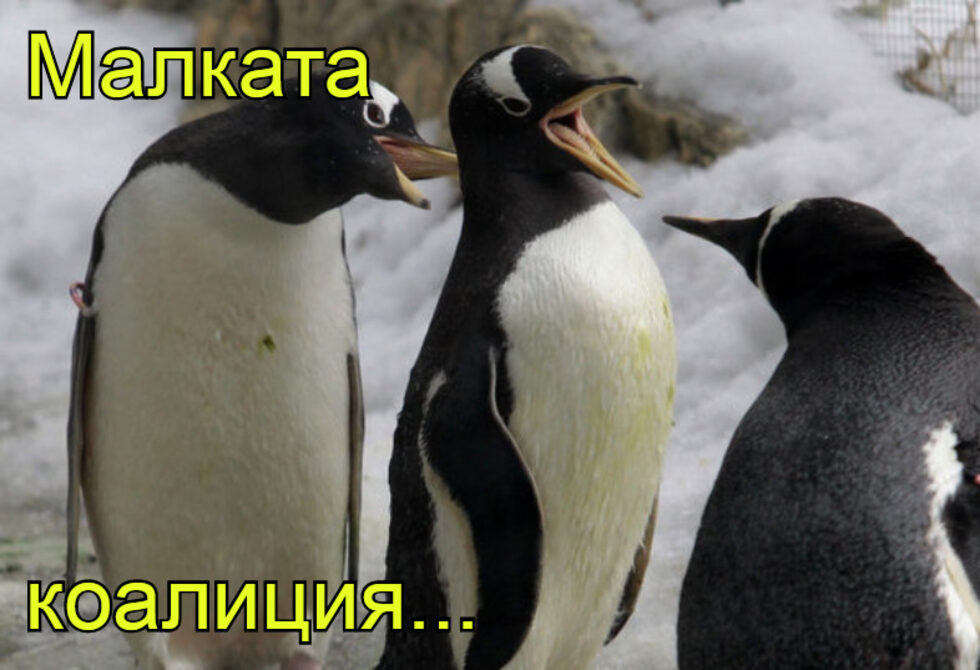 Фотогалерия: Върху дюните слагайте хотели, за хавлиите е скъпо, и още комикси