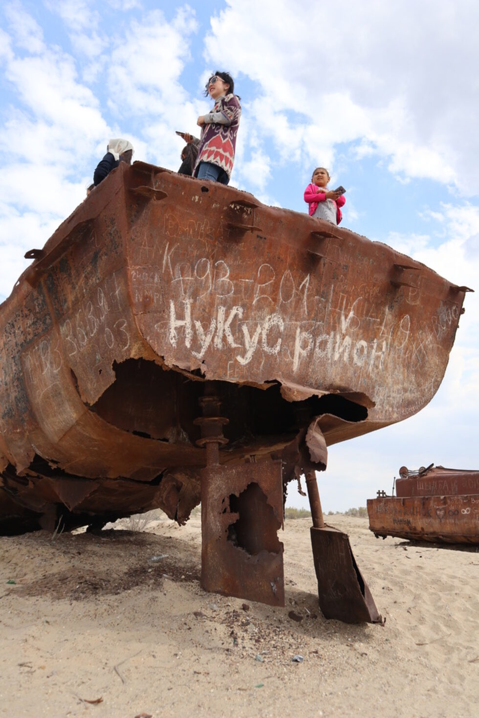 В резултат на рязкото намаляване на притока на прясна вода бързо се повишава солеността на Аралско море, което довежда до измирането на много видове флора и фауна, приспособени за живот във вода с по-ниска соленост. Това довежда и до закриването на риболовната промишленост и закриването на няколко пристанища.