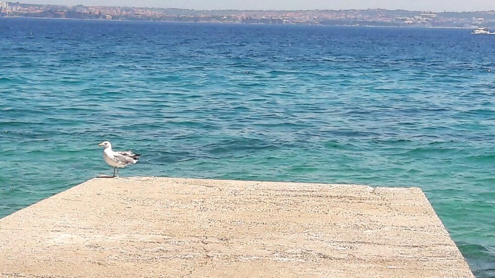 Морето около остров Преко е тюркоазено.