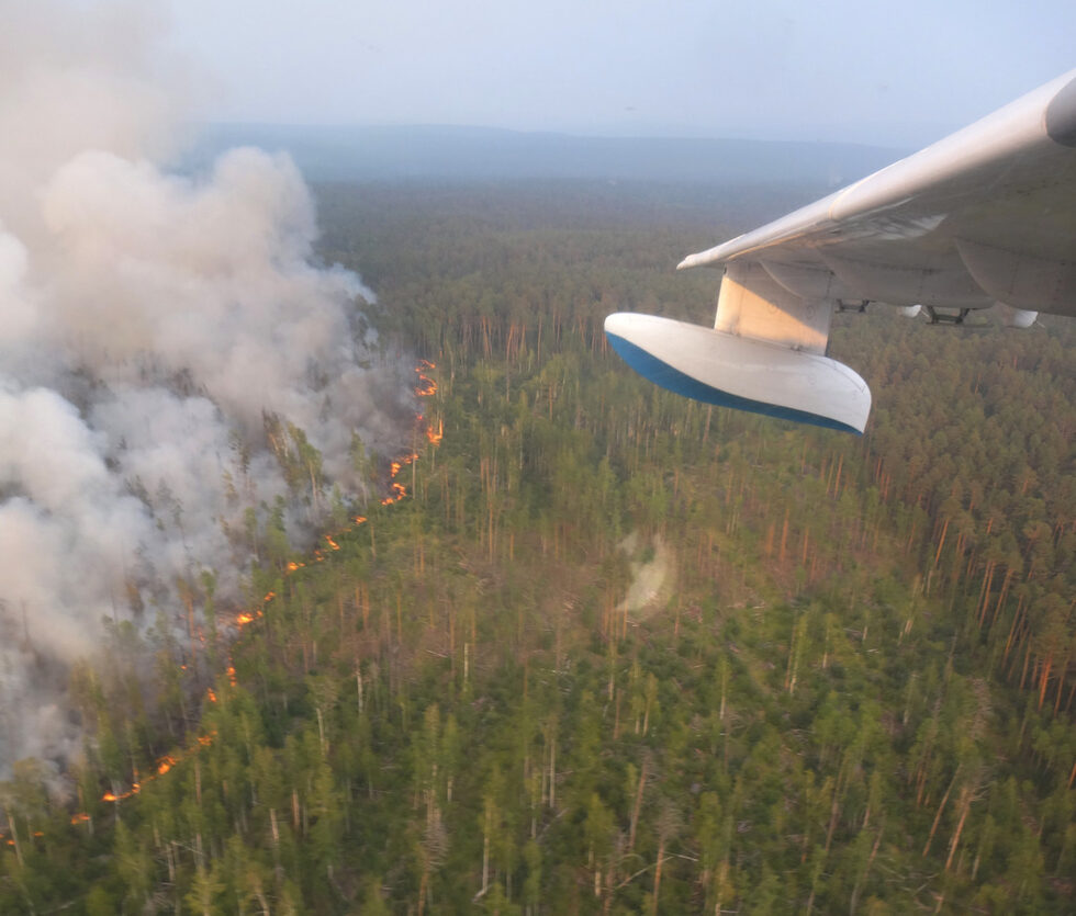 Горски пожар в Красноярск, Русия. <a href="https://www.dnevnik.bg/sviat/2019/07/31/3944758_arktika_e_v_obruch_ot_hiliadi_gorski_pojari_izvunredno/" target="_blank">Огнен пръстен е обхванал Арктика</a> - хиляди пожари горят в Сибир, Северна Европа, Гренландия, Аляска.