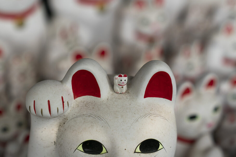 Фотогалерия: Котка за късмет