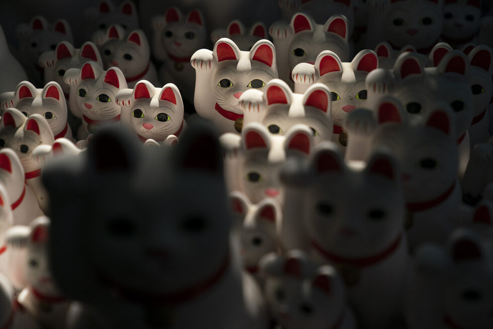 Фотогалерия: Котка за късмет
