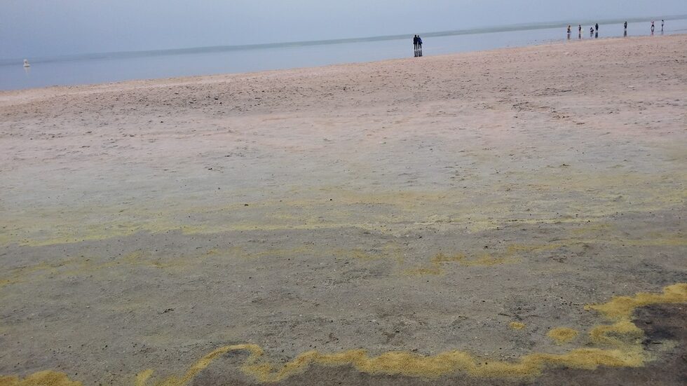 Фотогалерия: Да ходиш по солта на водата