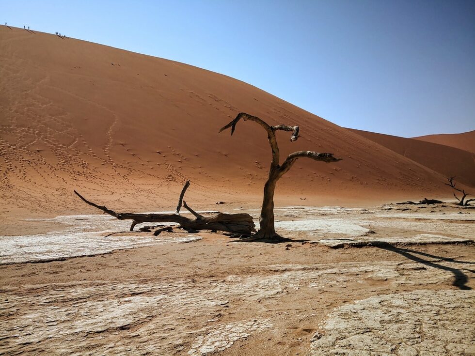 Deadvlei