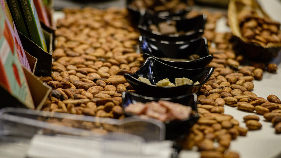 Фотогалерия: Сред шоколадови изкушения