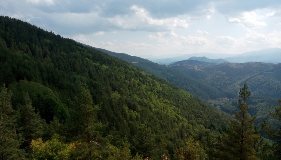 Родопа планина от природната забележителност Пашови скали.