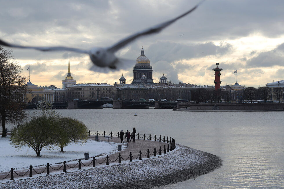 Чайка лети над река Нева, Санкт Петербург, Русия.