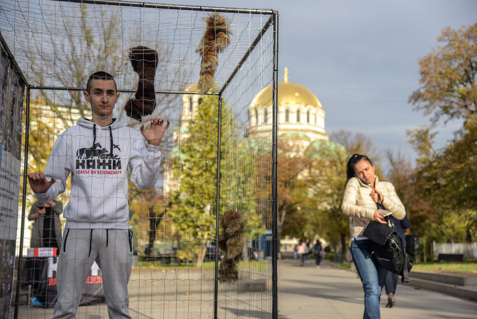 Противници на фермите за кожи от различни животни ще се затварят в клетка в градинката при Народното събрание. Акцията цели да обърне внимание върху проблема