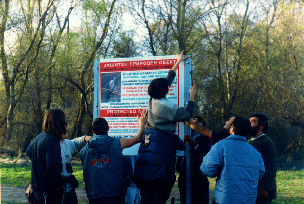 През 2001 г., Зелени Балкани са изготвили предложение до екоминистерството за обявяване на 5 защитени територии с цел опазване местата за струпване на вида през зимата – четири по река Марица и едно на Тунджа в град Ямбол. Заради безпокойство от рибари три от тези местности обаче са напуснати и там малките корморани вече не намират убежище за презимуване.