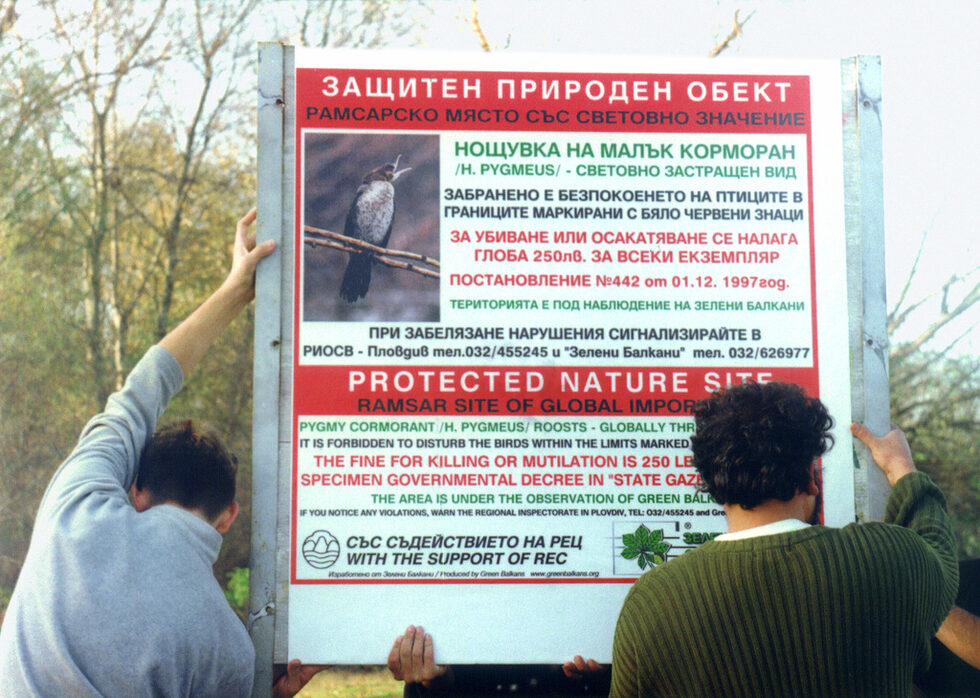 През 2006г. по предложение на Зелени Балкани е обявена защитата на четвъртото от предложените зимовища. Това е днешната Защитена местност "Нощувка на малък корморан - Пловдив", която опазва най-голямото място за почивка на Малкия корморан по поречието на Марица и във вътрешността на страната изобщо.