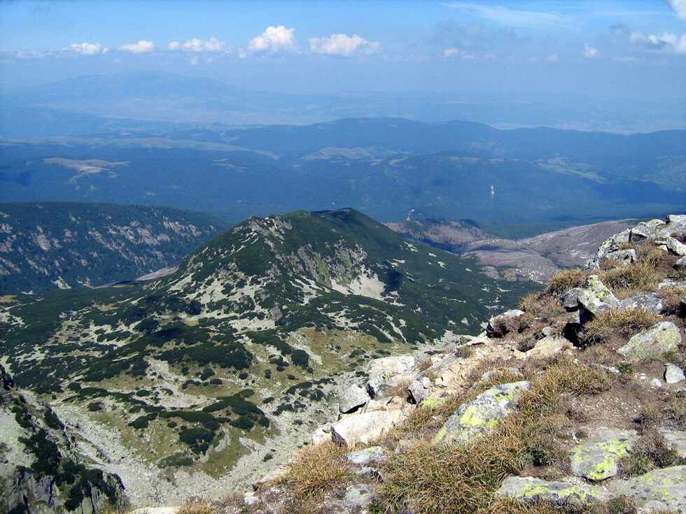 Ръждавица.