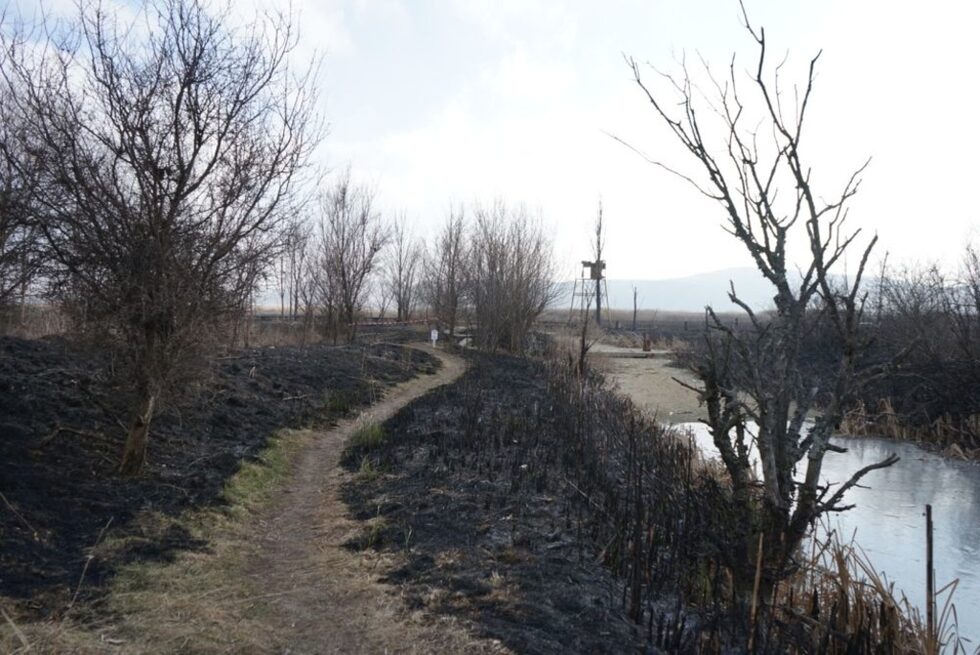 Драгоманското блато е разположено в Западна България, в административните граници на област София и попада в границите на четирите общини Драгоман, Годеч, Сливница и Костинброд.