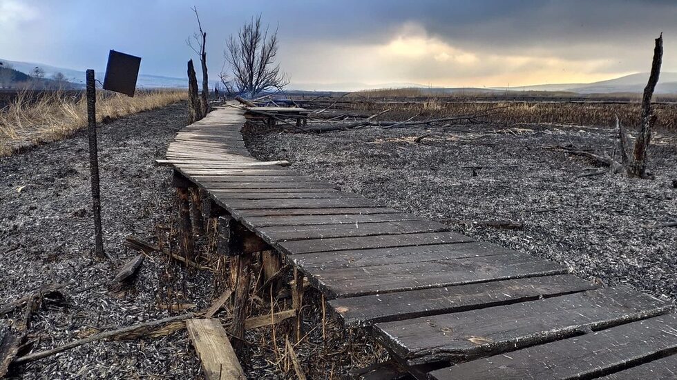 Фотогалерия: Драгоманското блато след пожара