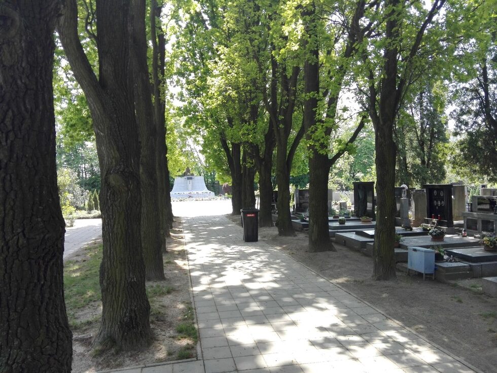 Централната алея на гробището "Ходов" в Прага. Основано е през 1945 г. и първите погребани в него са няколко жертви на Пражкото въстание (05 - 10.05.1945 г.) и загиналите в бойни действия в района при освобождаването на Прага от нацистка окупация около 300 съветски войници.