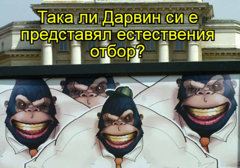 Фотогалерия: "Ако кръстосаме тулуп и мисирка..." и още комикси