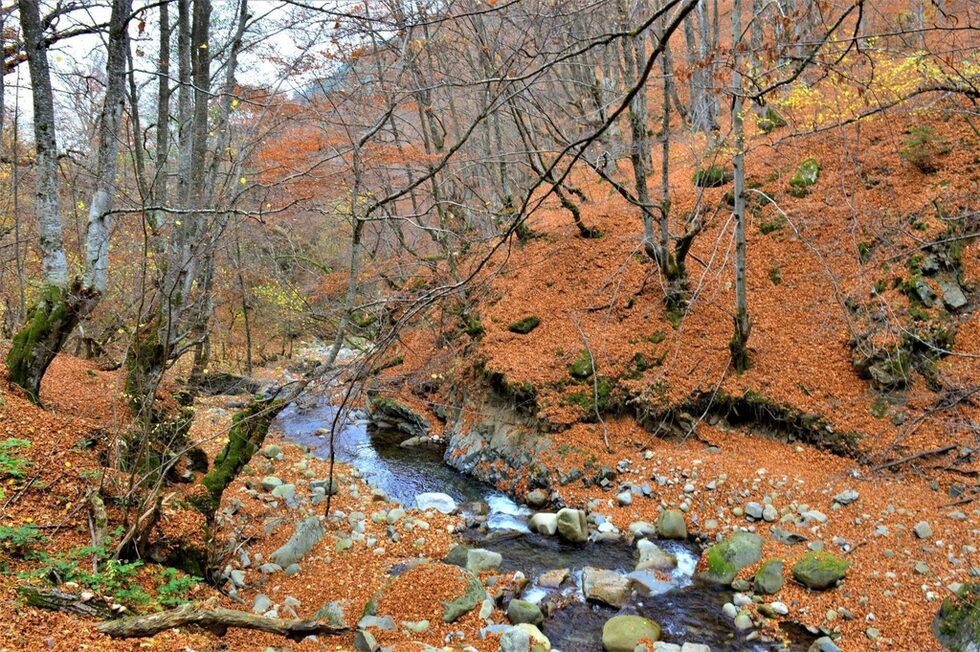 Туфча е река в Южна България, десен приток на река Места. Дължината ѝ е 27 km.  Тя изтича от Горното Брезнишко езеро (на 2587 m н.в.).  В началото тече на югоизток, прави голяма, изпъкнала на юг дъга, завива на североизток и достига до село Брезница. След селото завива на югоизток и навлиза в долина с обезлесени и ерозирали склонове. Влива се отдясно в река Места на 524 m н.в. западно от село Балдево. Площта на водосборният басейн на реката е 123 kвадратни километра.