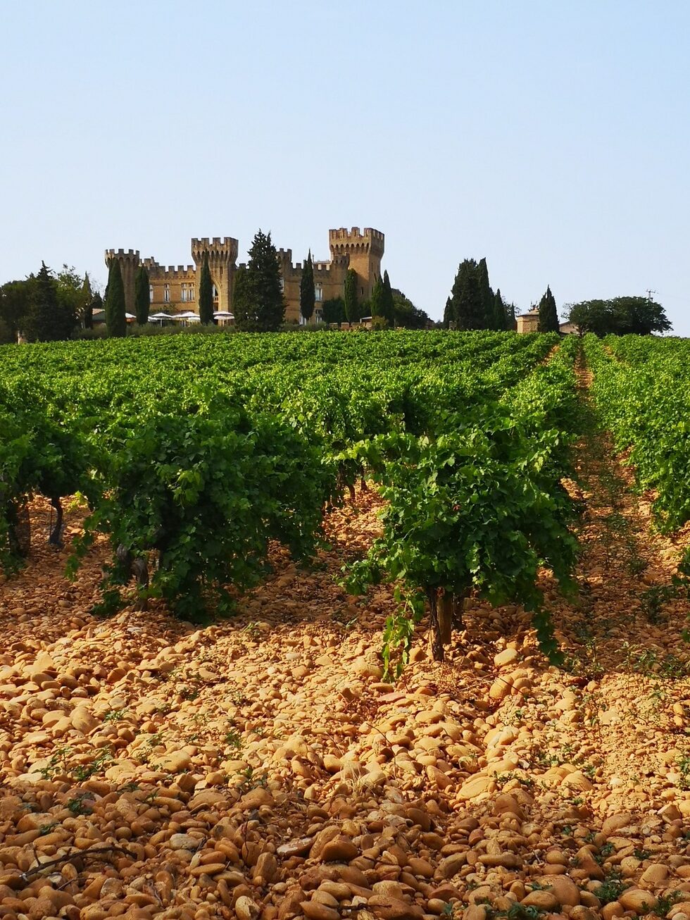 Châteauneuf-du-Pape се намира в долината на Рона, недалеч от Авиньон. Името на тази част от Южна Франция означава буквално "Новият замък на Папата", тъй като през 1308г. Папа Клемент V премества папското седалище в Авиньон. В следващите 70 години именно тук се помещават общо 9 папи. Всеки от папите обичал на трапезата му да има вино, а климатичните условия в района са изключително благоприятни