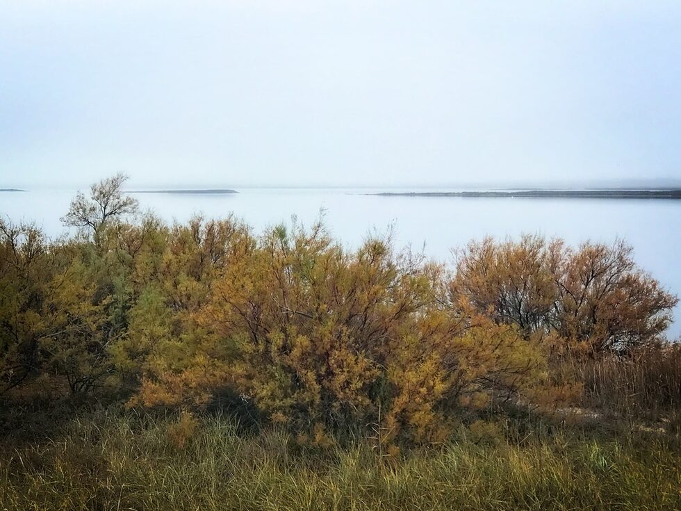 "В природата всичко има функция. Функцията на мъглата е допълнително да разкрасява съществуващите красоти!" - Мехмет Мурат Илдан
