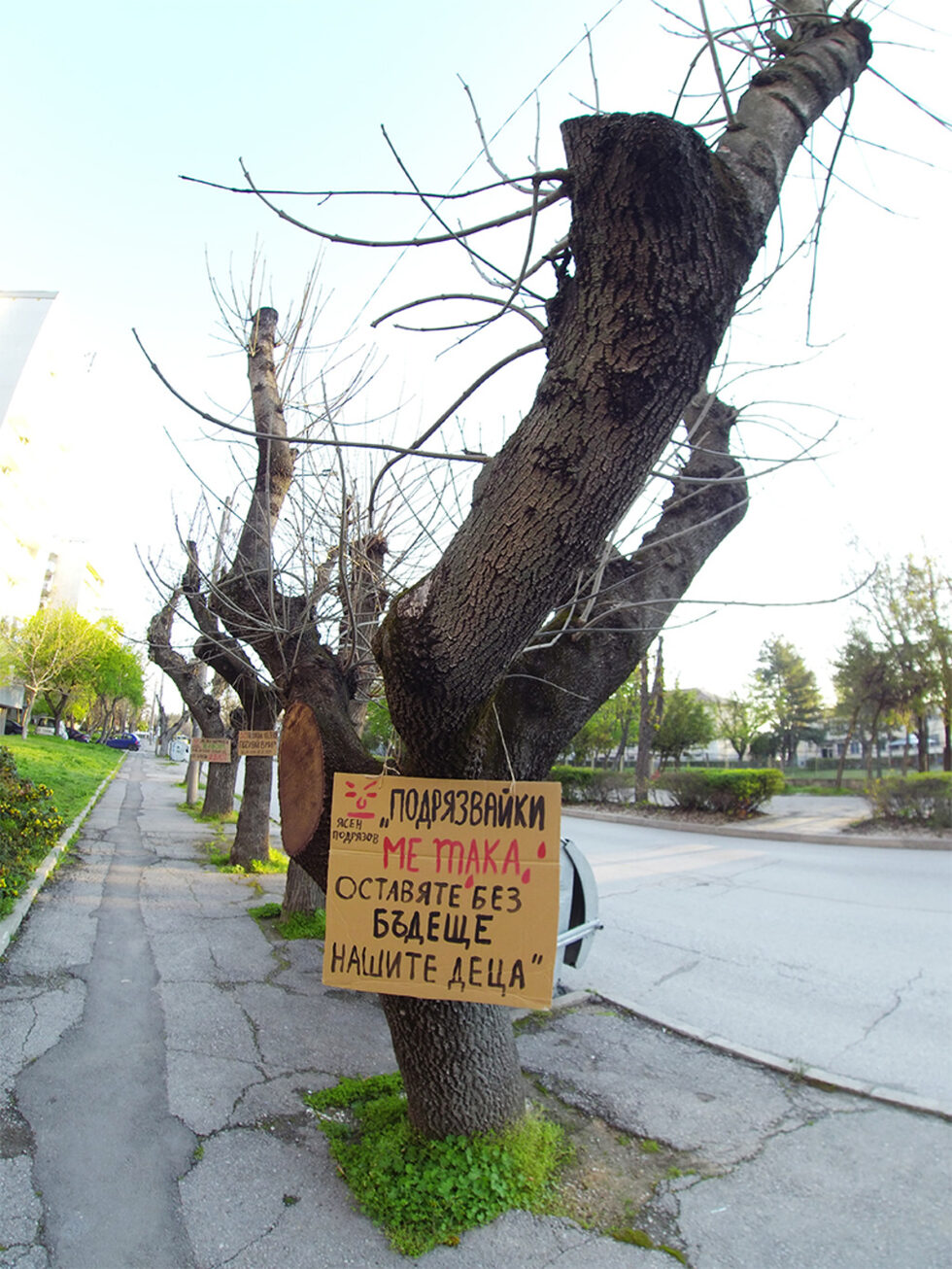 За правила и ангажиране на специалисти в поддържането на градските зелени системи призовават и специалисти - виж <a href="https://www.dnevnik.bg/zelen/2019/11/07/3987797_lesovud_i_landshaften_arhitekt_nujni_sa_pravila_za/" target="_blank">тук</a>.