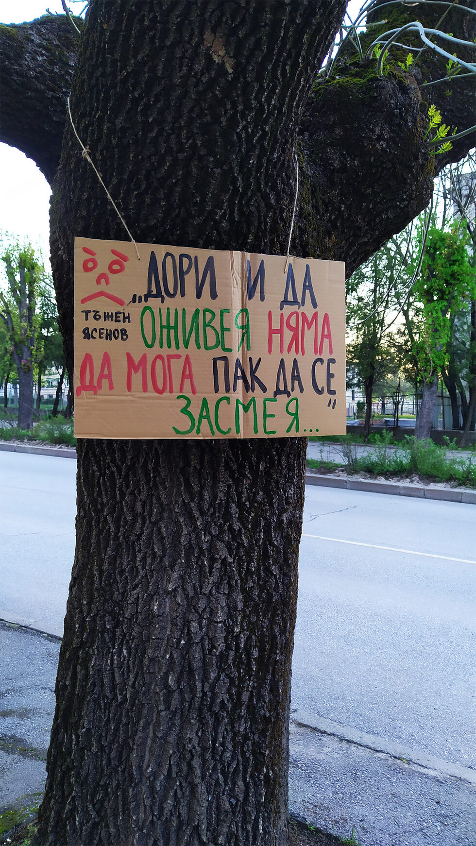 Представени са послания от 14 вече "осакатени" дървета. "Всяко едно от тях има свое име и дори човешко изражение, което да ни напомня, че и дърветата са важна част от нашия живот и усещат направената върху тях интервенция", разяснява позицията на активистите, цитирана от "Хасково новини".