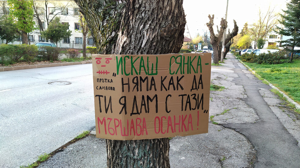 Акцията е била <a href="https://www.xnews.bg/13-tabeli-uvisnaha-na-stara-planina-sreshtu-podrjazanite-darveta/?fbclid=IwAR3H0TepcyUSa6xf8Z9mSi6aNTgti08lPPIZecArzz2hrV2mmVGxHlYqDEo" target="_blank">съобщена до регионалните медии</a>, като послание срещу "един задълбочаващ се и много сериозен проблем не само в Хасково, а и в цялата страна. Това е бруталното и агресивно подрязване на улични дървета". За подобни <a href="https://www.dnevnik.bg/zelen/2019/11/07/3987797_lesovud_i_landshaften_arhitekt_nujni_sa_pravila_za/" target="_blank">проблеми в различни градове</a> от години сигнализират граждани.