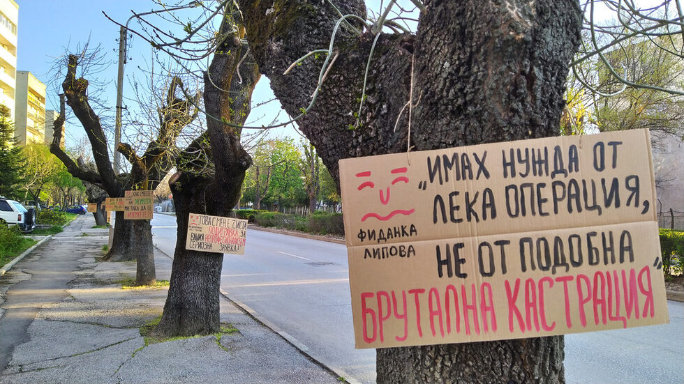 Фиданка Липова, Пръчка Сливова, Тъжен Ясенов, Ствол Страдалов, Ясен Подрязов, Липа Страдалкова, Повяхнал Кестенов. Това са част от героите, чиито послания бяха изписани с табели от група, нарекла се "Дървените активисти". Акцията е в протест срещу кастрене на градските дървета в Хасково, което води до трайното им увреждане.