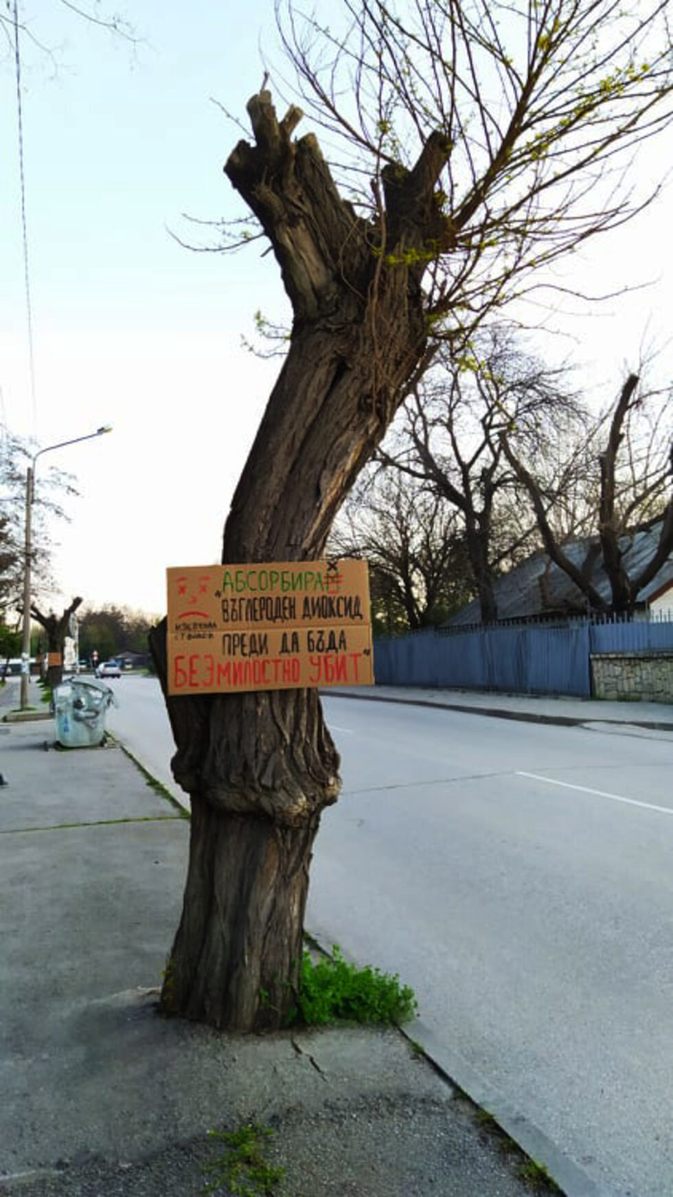 Фотогалерия: "Дървени активисти", или анонимно в защита на дърветата в Хасково