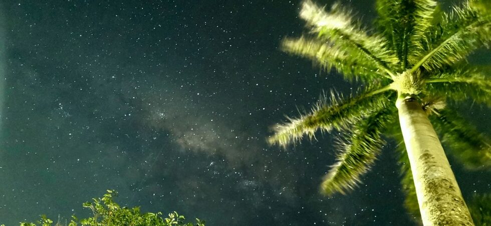 Фотогалерия: Приказна нощ в ранчото