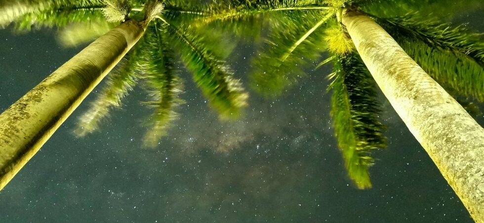 Фотогалерия: Приказна нощ в ранчото