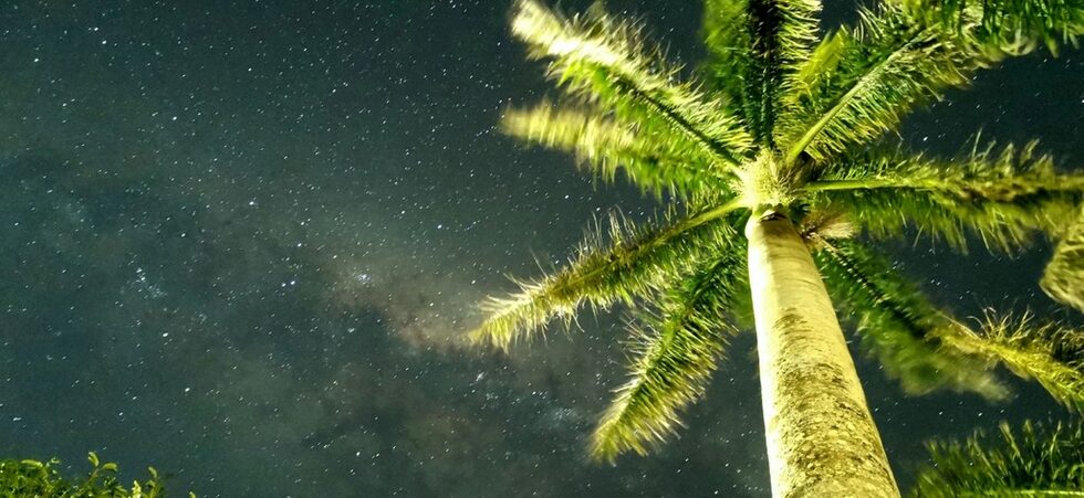 Фотогалерия: Приказна нощ в ранчото
