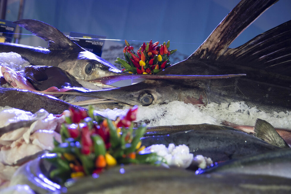 Фотогалерия: Зарибени ценители на морската храна се включиха в Бакхус Fish Fest