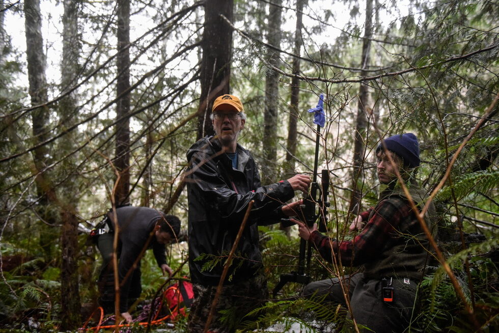 Племената Lower Elwha Klallam, Skokomish, Makah, Quinault, Jamestown S'Klallam и Port Gamble S'Klallam предоставят традиционните си познания за проекта, заедно със съвременния опит на биолозите по дива природа.<br /><br />"Като представители на коренното население ни учат, че трябва да се движим в два свята - в традиционния и в съвременния", казва Ванеса Касъл, член на племето Lower Elwha Klallam, която работи по проекта. "Мисля, че това променя начина, по който тези учени мислят за тези животни."