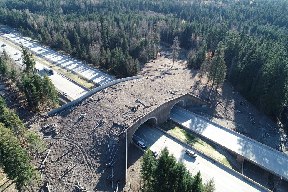 Всеки ден по магистрала I-5 се движат около 100 000 автомобила, което пречи на пумите и другите диви животни да преминат от другата страна на магистралата.<br />