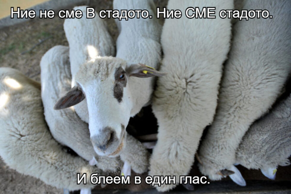 Фотогалерия: Искам мир, искам целия мир и още комикси