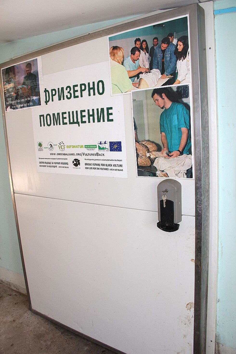"В Спасителния център използваме различни електрически уреди. Хладилниците и фризерите използваме за складиране на храната за нашите пациенти, петте инкубатора и двата кувьоза използваме за люпене и отглеждане на малките на защитените видове, по програмите за възстановяване на видове - брадати лешояди, ловни соколи, белошипи ветрушки... Част от климатиците са разположени в помещенията за животни - амбулатория, реанимация, хирургическа зала, бебешка стая," разказва Христина Клисурова - ветеринарен лекар и ръководител на центъра на "Зелени Балкани" в Стара Загора.