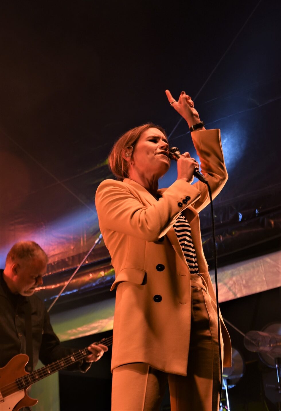 На снимката: Нина Першон от The Cardigans