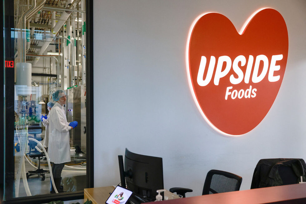 Ръководителите на UPSIDE заявиха пред "Ройтерс", че се надяват да пуснат продукта си в ресторантите още през 2023 г., а в магазините за хранителни стоки - през 2028 г.<br /><br />UPSIDE все още трябва да бъде инспектирана от Службата за безопасност и контрол на храните към Министерството на земеделието на САЩ и да получи одобрение от агенцията за етикетите си. Говорител на FSIS на Министерството на земеделието на САЩ отказа да коментира сроковете за инспекция.